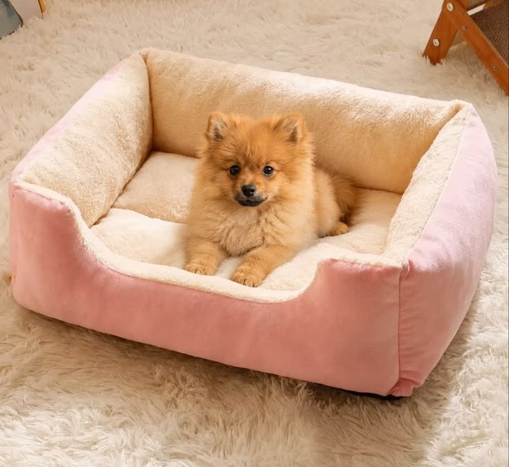 Unlock Better Sleep with the Right Pet Bed Choice